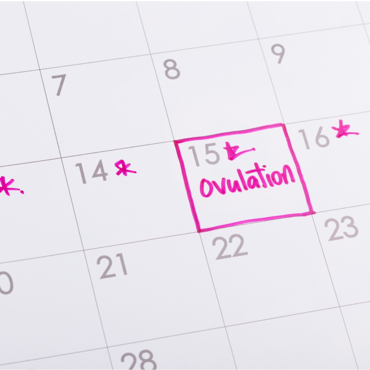calendar highlighting ovulation day